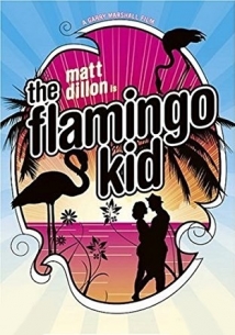 The Flamingo Kid