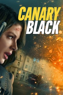 Canary Black | قناری سیاه