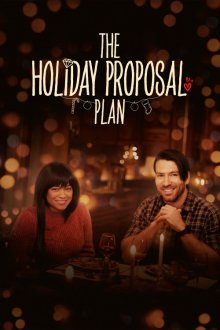 The Holiday Proposal Plan