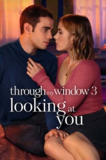 Through My Window: Looking at You