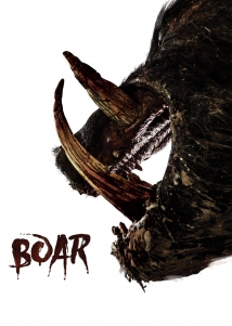 Boar